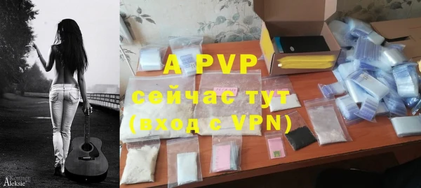 дмт Пестово