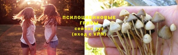 дживик Переславль-Залесский