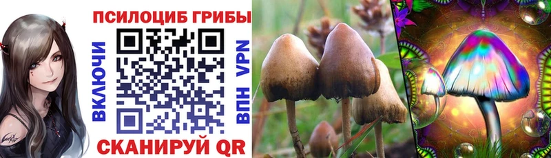 как найти закладки Ефремов Псилоцибиновые грибы прущие грибы